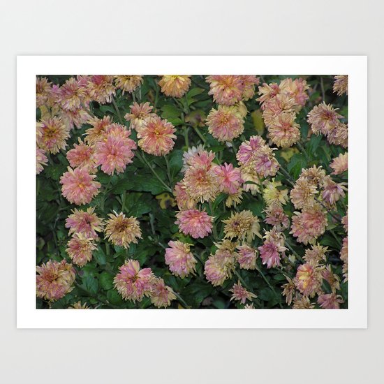 Flora Art Print