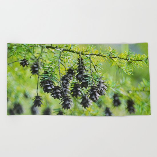 Snoqualmie Cones Beach Towel