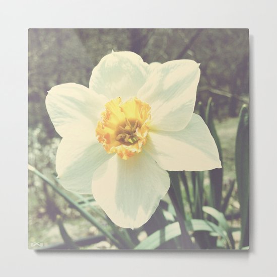 Efflorescence. Metal Print