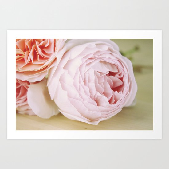 Early Roses Art Print