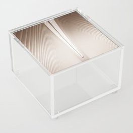 Architecture in New York City - Sepia Acrylic Box