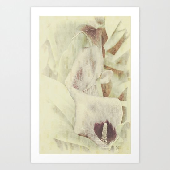Triple Lily Abstract Art Print
