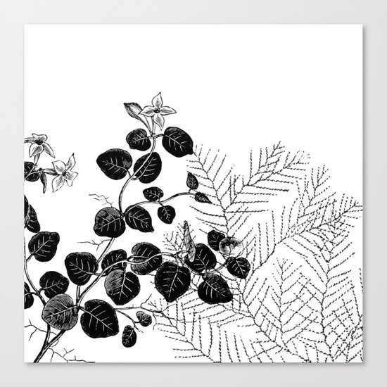 Minimal Spring design Canvas Print