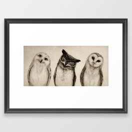 The Owl's 3 Framed Art Print | Animal, Owl, Illustration, Curated, Drawing, Graphite, Ink Pen, Nature, Owls 