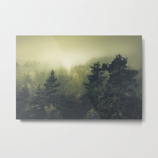 Forests never sleep Metal Print
