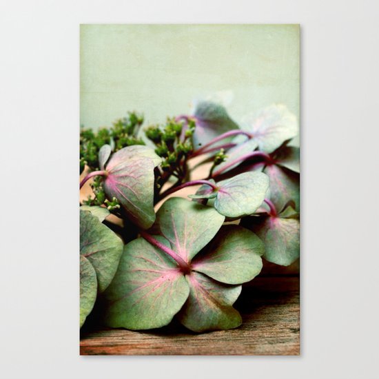 nostalgic blossoms Canvas Print