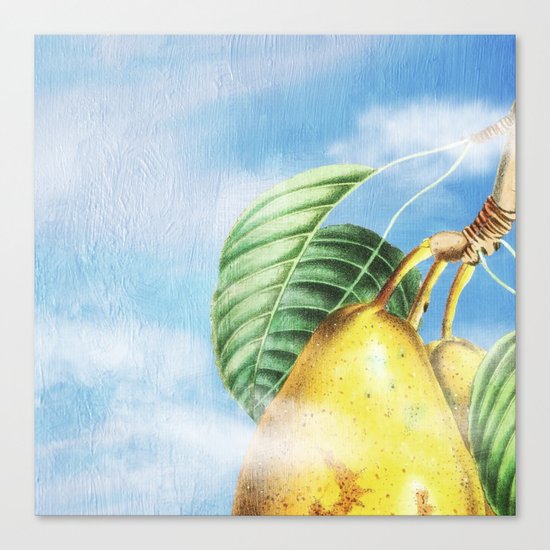 Pear Heaven Canvas Print