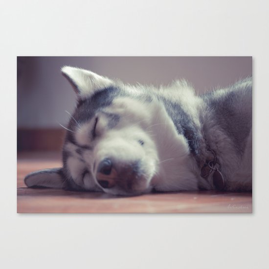 Dream with me Canvas Print