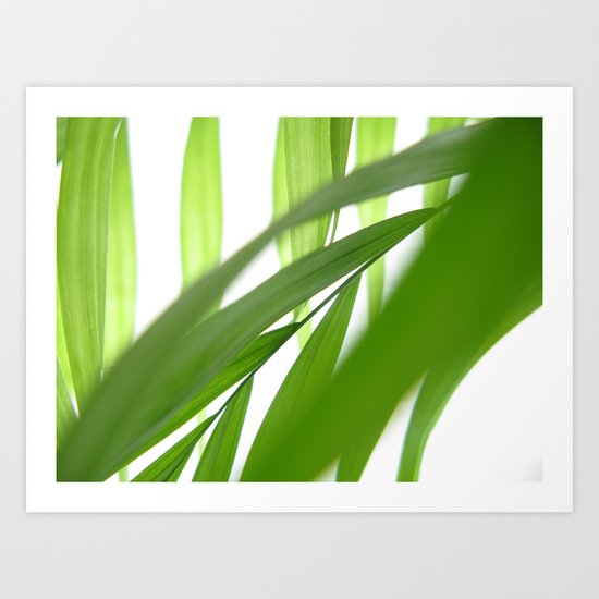 Palm 10 Art Print