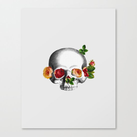 S&R Canvas Print