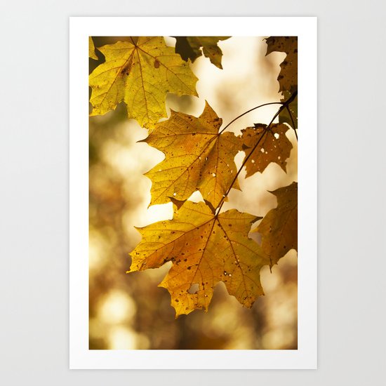 Yellow (Maples) Art Print
