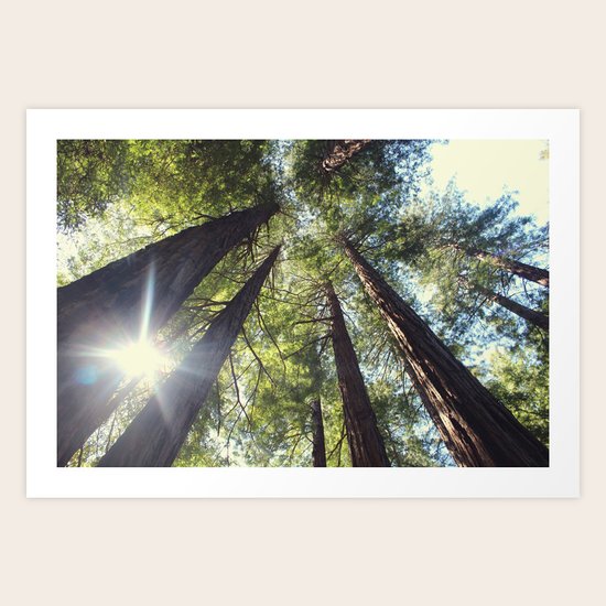 Inspire Art Print