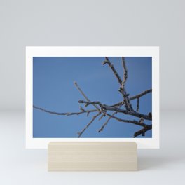 White frost in blue Mini Art Print