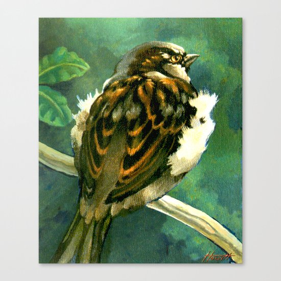 Sparrow in Puriri Tree Canvas Print