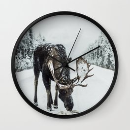 Moose in the wild Wall Clock