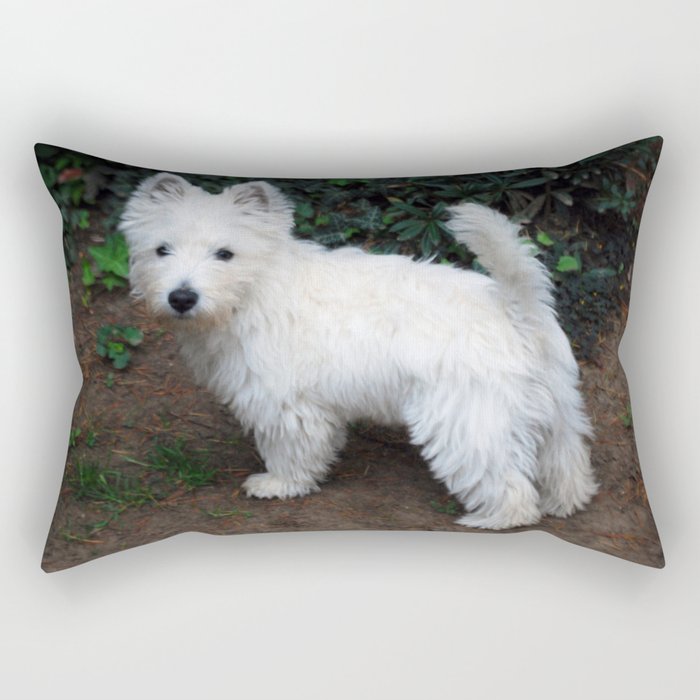westie pillow
