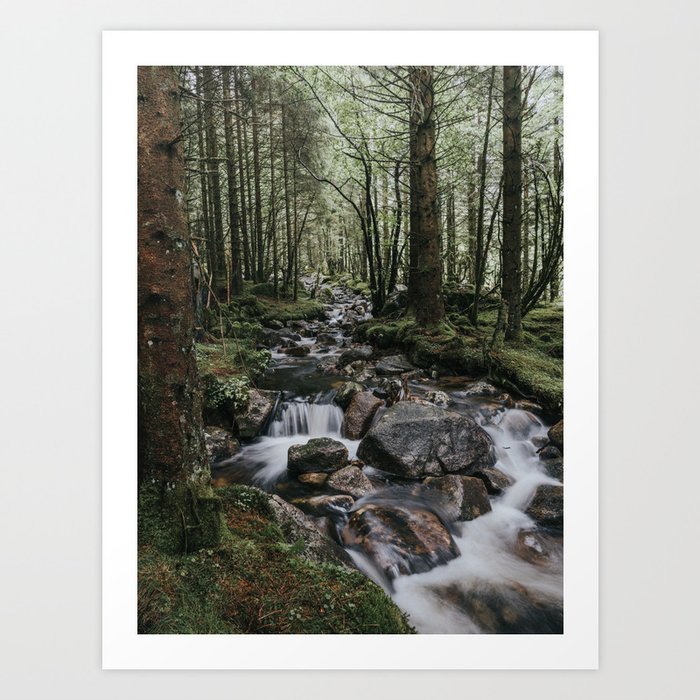 The Fairytale Forest - Landscape and Nature Photography Art Print