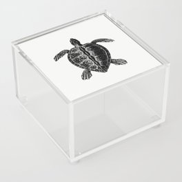 Vintage Victorian Turtle Engraving Acrylic Box