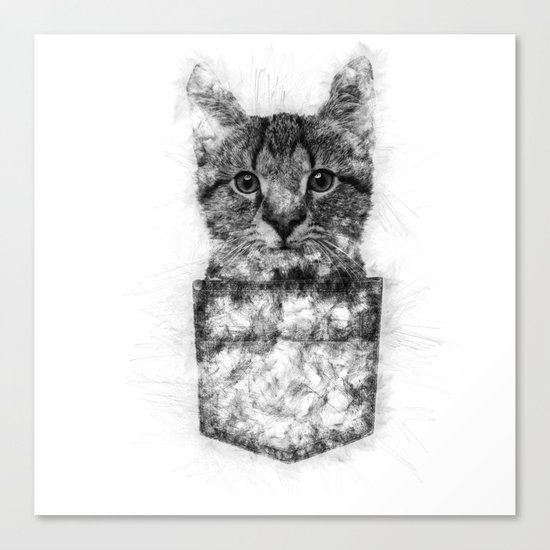 MEAW Canvas Print