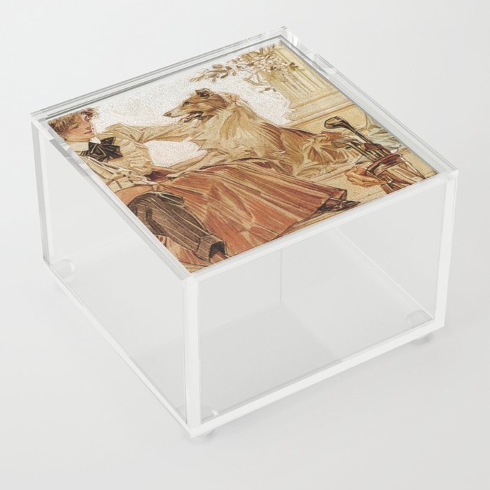 Collie dog Acrylic Box