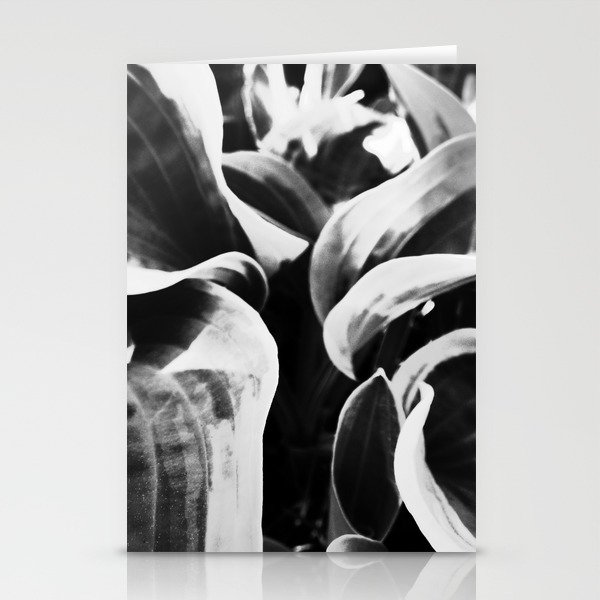 Black and White Hosta Leaves in I -Art Stationery Cards