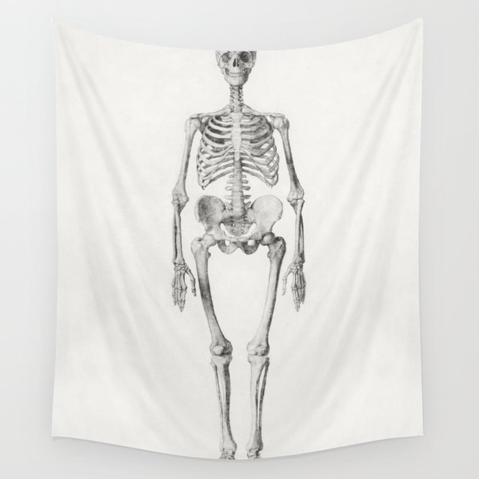 Human Skeleton, Anterior View Wall Tapestry