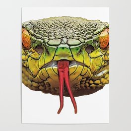 Snake Face Reptile Provocateur Meditator Look Victim Poster