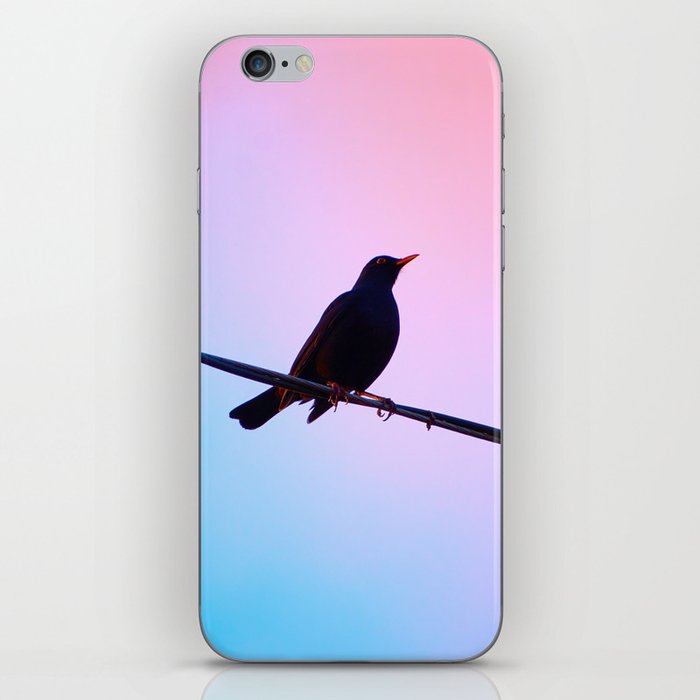 sunset blackbird iPhone Skin