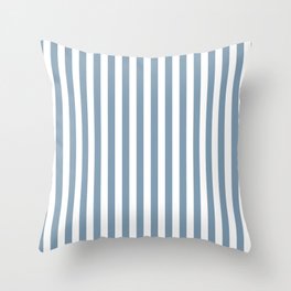 Light Blue & White Simple Stripe Throw Pillow