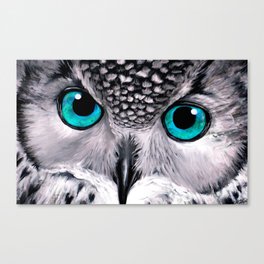Aqua Owl Eyes Canvas Print