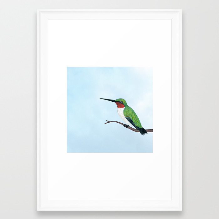 The Studious Male Ruby Throated Hummingbird Framed Art Print By