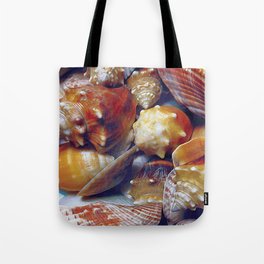 Seashells Tote Bag
