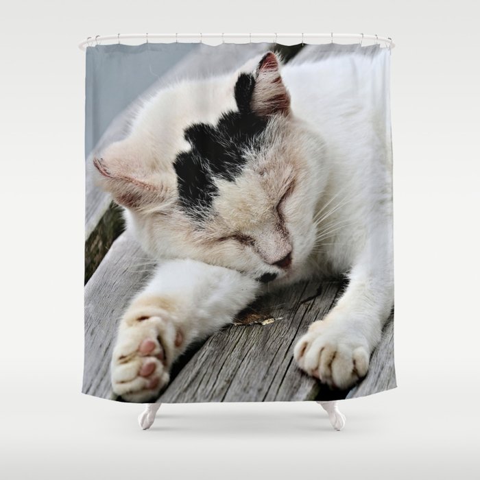 Cat Dreaming Shower Curtain