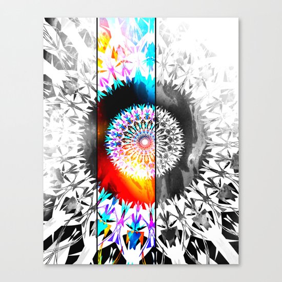 SOLANACEAE Canvas Print