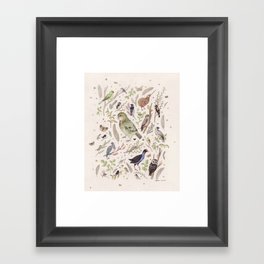 New Zealand Birds Framed Art Print