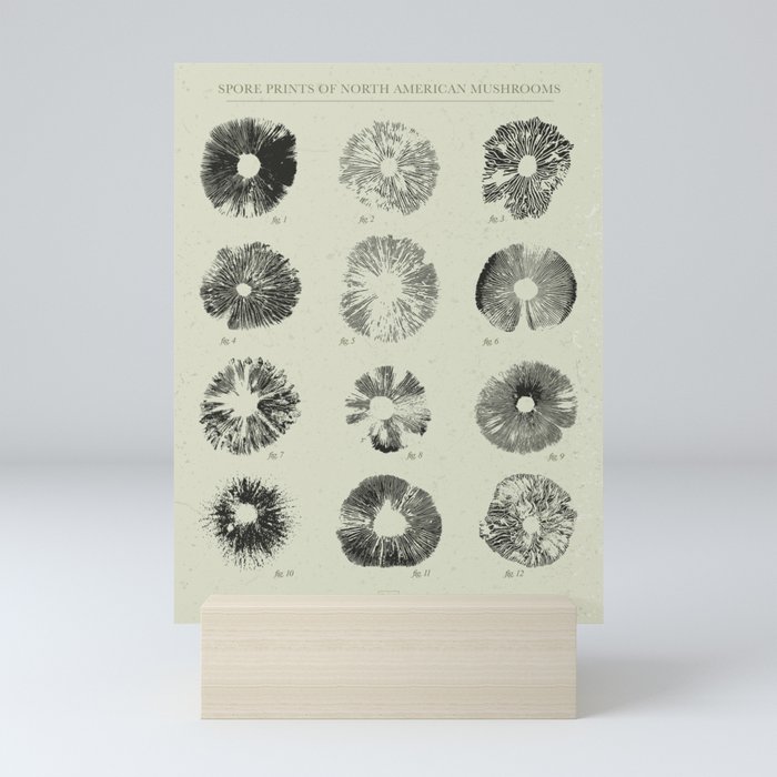Spore Prints of North American Mushrooms (Black on White) Mini Art Print