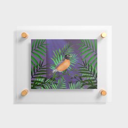  Robin Redbreast Resting in the Green Ferns Floating Acrylic Print