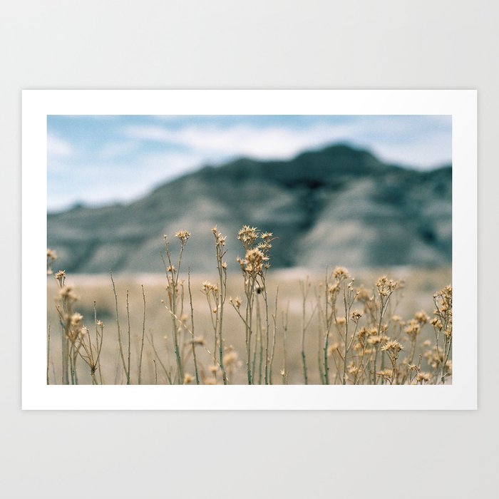 35mm-Toadstool Geological Park-Nebraska Art Print