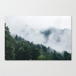 Moody Forest Canvas Print