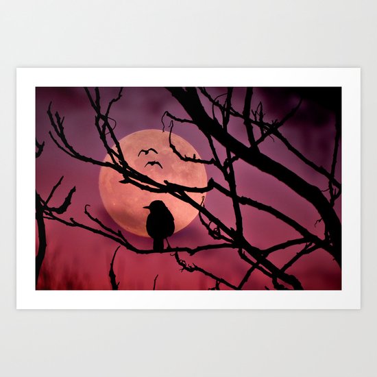 Moonlit dusk Art Print