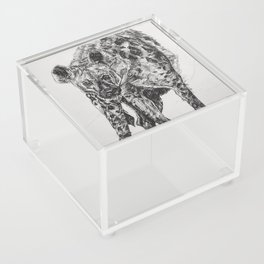 Hyena Acrylic Box