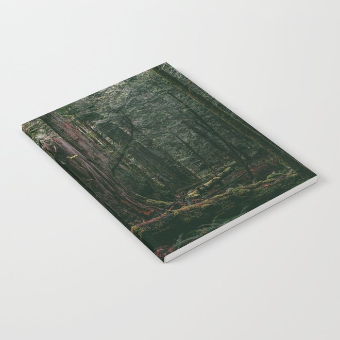 Cathedral Grove Print II | Vancouver Island, BC | Landscape Photography Notebook