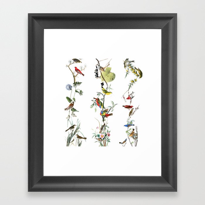 Birds - Art - Vintage - Pattern - Illustration - Nature Framed Art Print