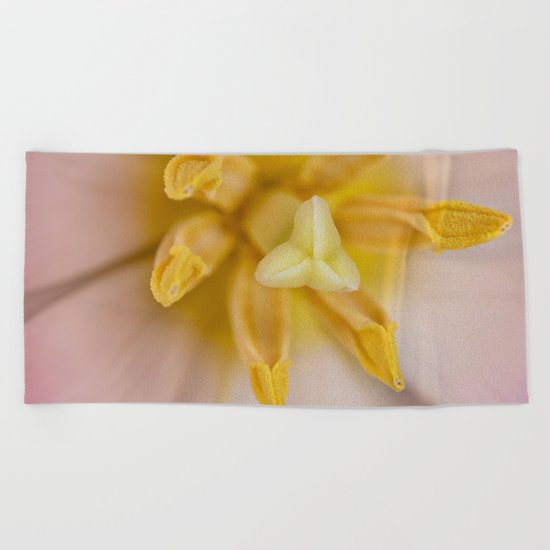 Inside a Tulip Beach Towel