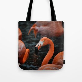 Flamingos in the rain Tote Bag