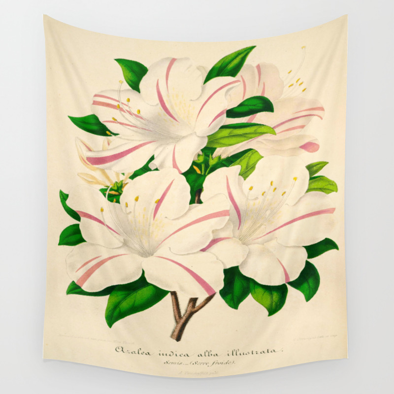 Azalea Alba Magnifica Rhododendron Indica Vintage Botanical Floral Scientific Illustration Wall Tapestry By Enshape Society6