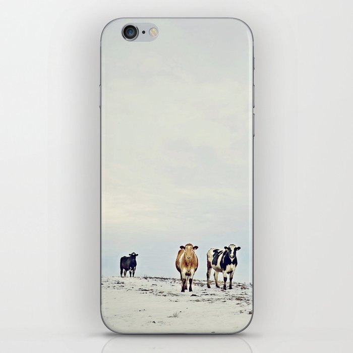 till the cows come home iPhone Skin