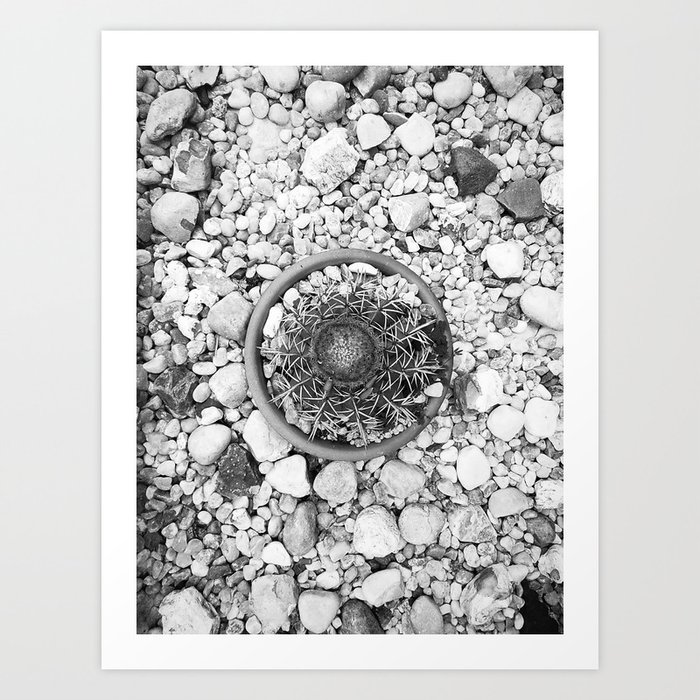 Cactus - Black and White Art Print