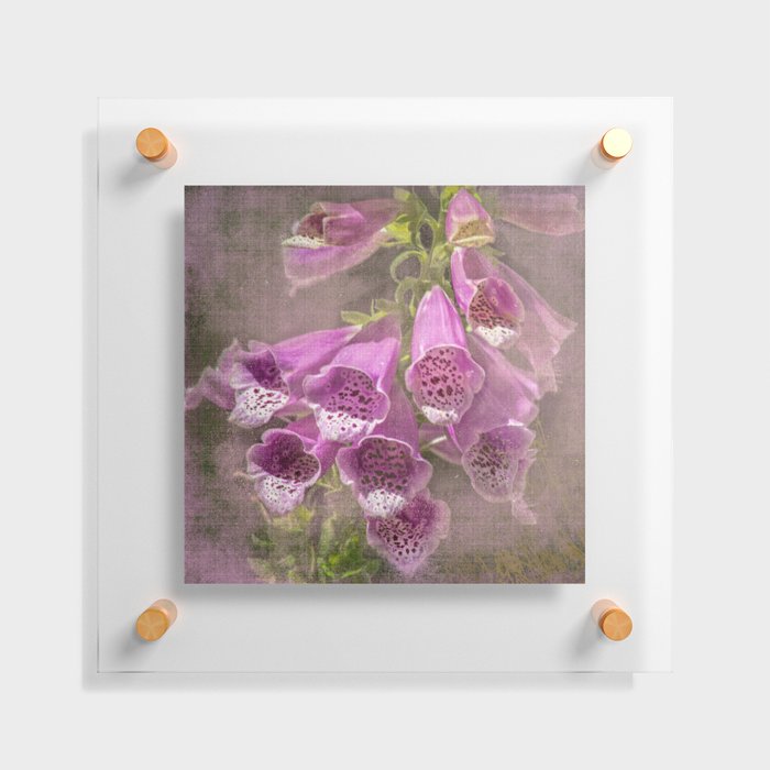 Purple Foxglove, a Wildflower of Yosemite Floating Acrylic Print
