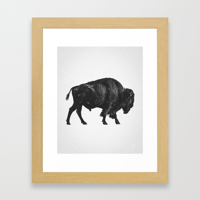 Bison Self Portrait Framed Art Print